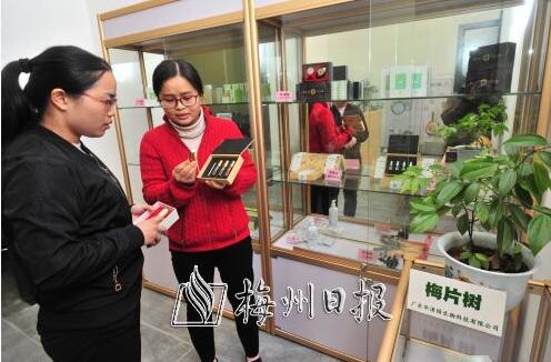 華清園是一個(gè)在梅州土生土長的農(nóng)林企業(yè)