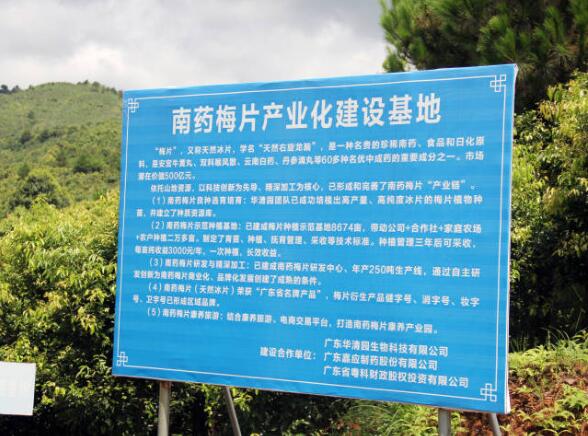 平遠(yuǎn)南藥產(chǎn)業(yè)園：創(chuàng)新緊密型的聯(lián)農(nóng)帶農(nóng)機(jī)制！挖掘500億元梅片市場價(jià)值